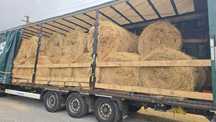Baloti rotunzi min.40.Drept.500.Lucerna or fan.transport inclus La TIR