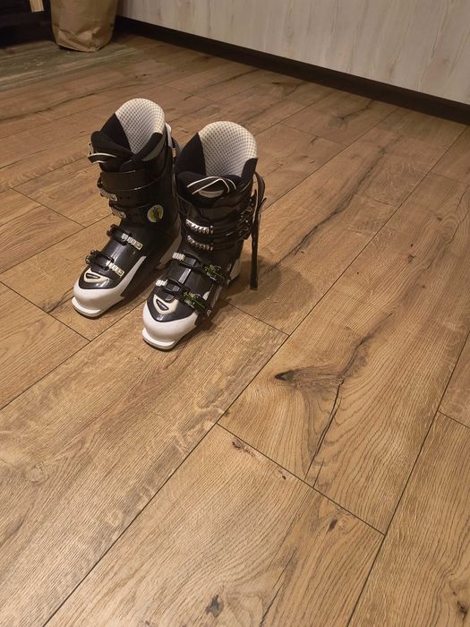 Clăpari adult Fischer stare bună