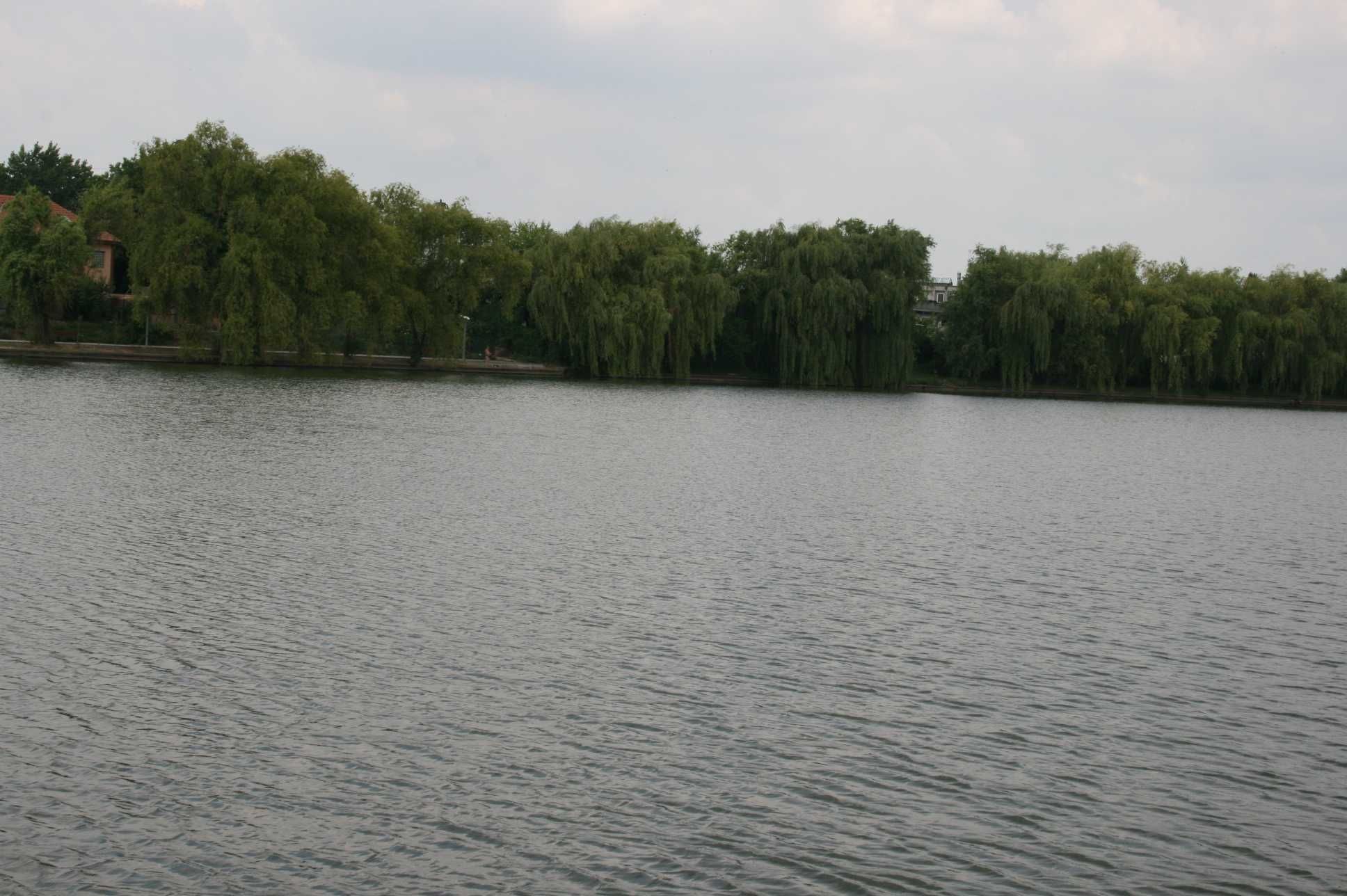 Teren Mogosoia Lac