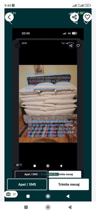 Achiziții zilnice de pene de gâscă noi și vechi