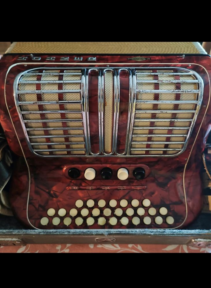 Acordeon in stare perfecta