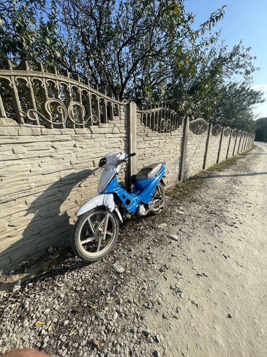 Scuter longhin schimb mai multe detalii în privat