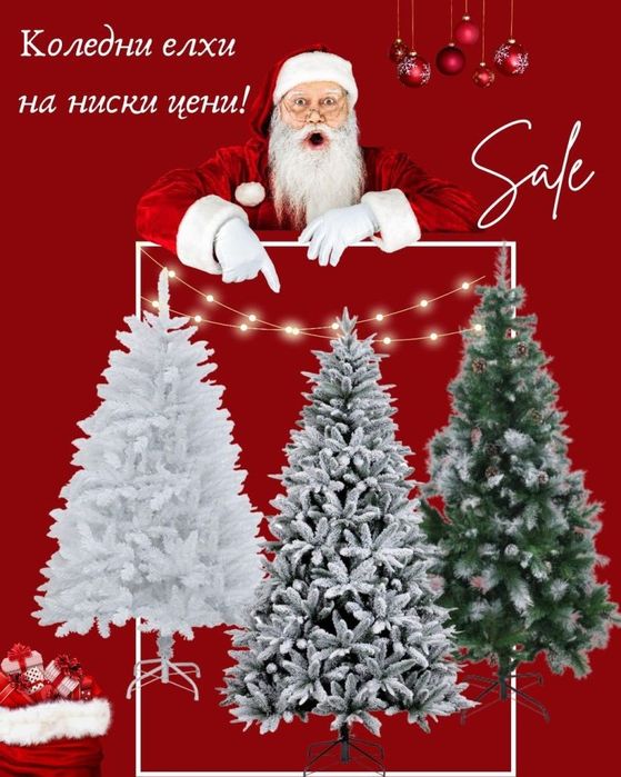 Коледни елхи на най-ниски цени