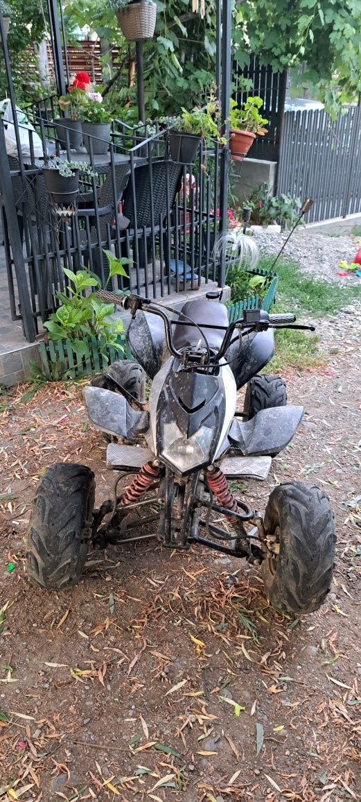 Atv de vinzare de 110cc