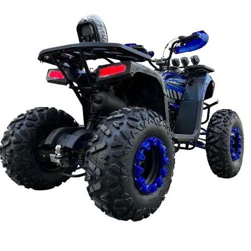 ATV BIG 250cc – Model nou 2025