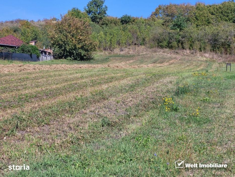 Teren de vanzare – Popesti Vale, 3600 mp