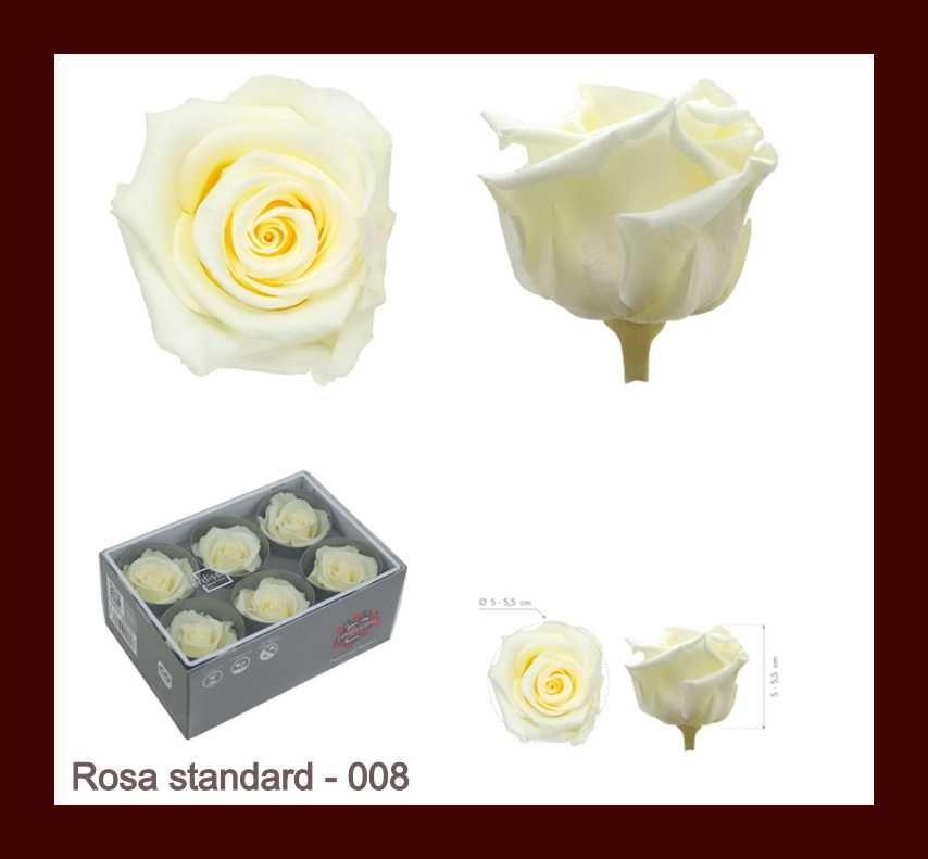 Trandafiri criogenati (stabilizati) - calitate premium Verdissimo