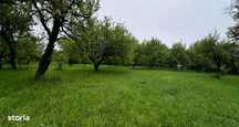 Vand teren -sat Selari,Arges