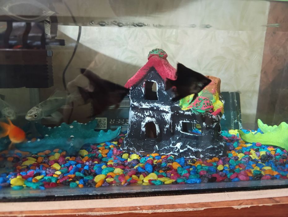 Аквариум сотилади