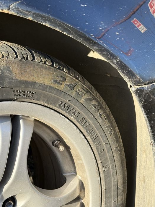 Vand caucicuri de iarna