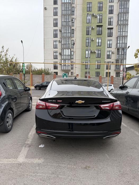 Malibu 2 premier, Tozza. 2022.