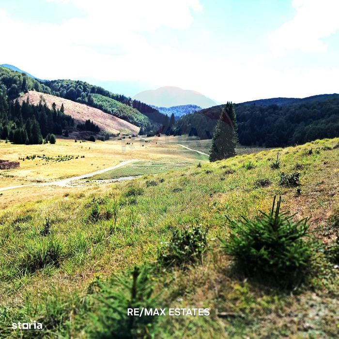 Teren Poiana Brasov / Strada Pastorului