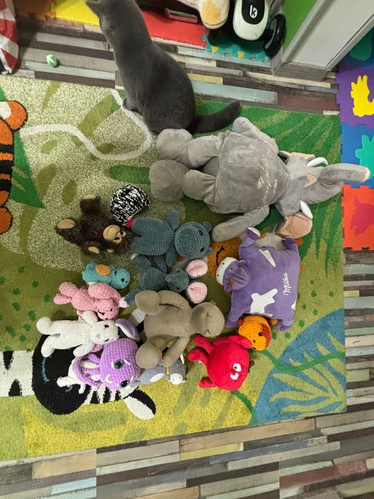 Подарявам плюшени играчки