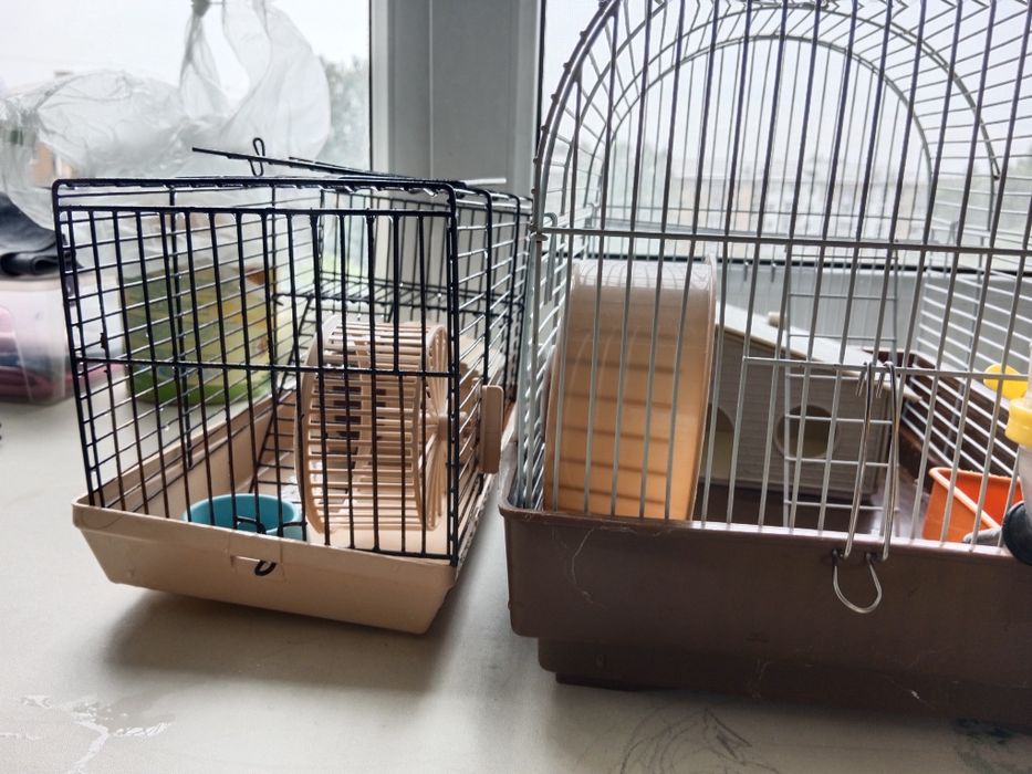 Клетки для хомяка