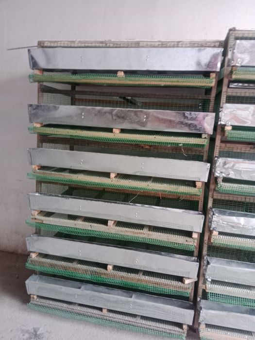 Qafas bedana boqish uchun