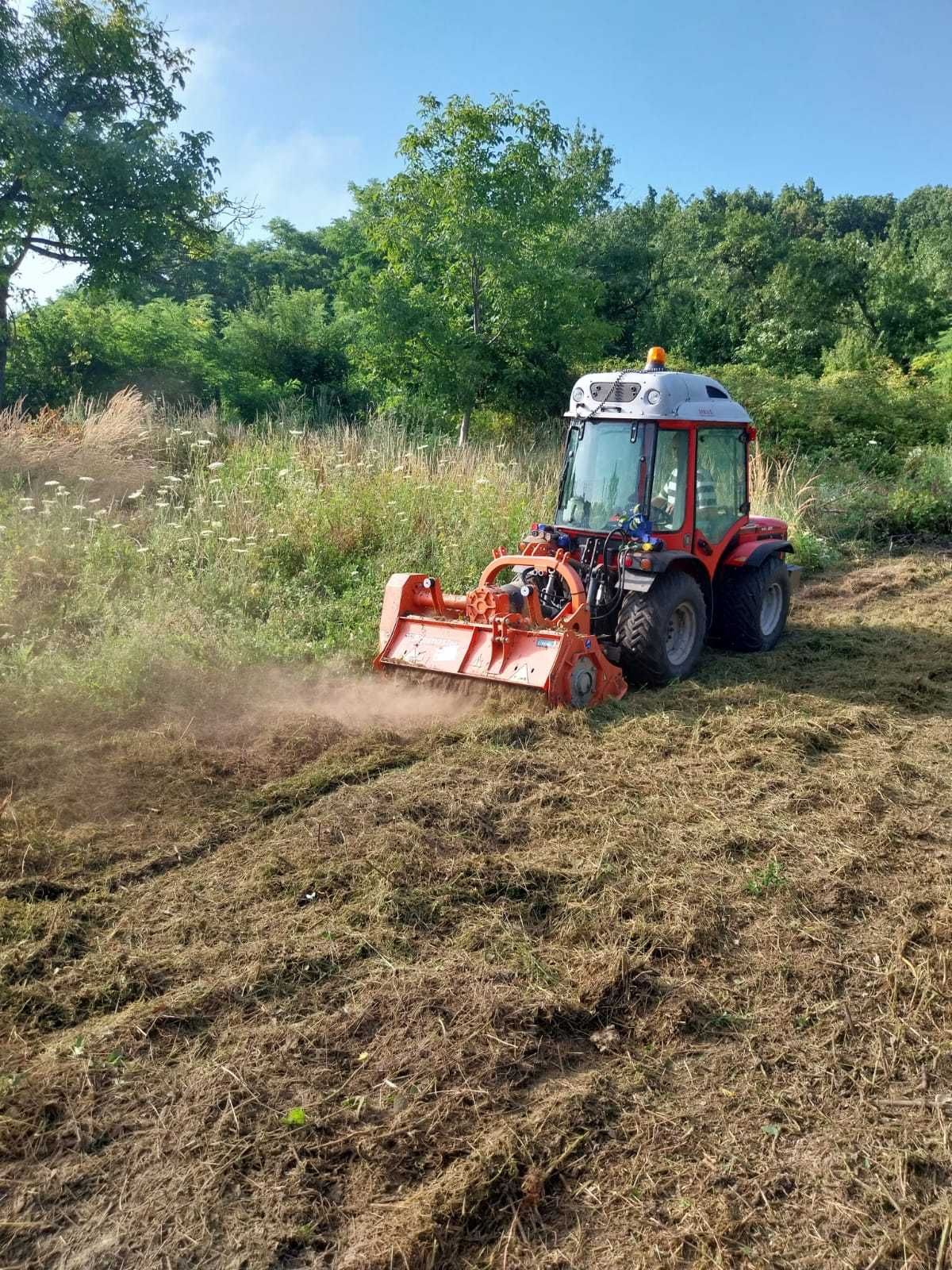 Curatare si defrisare teren de orice tip de vegetatie