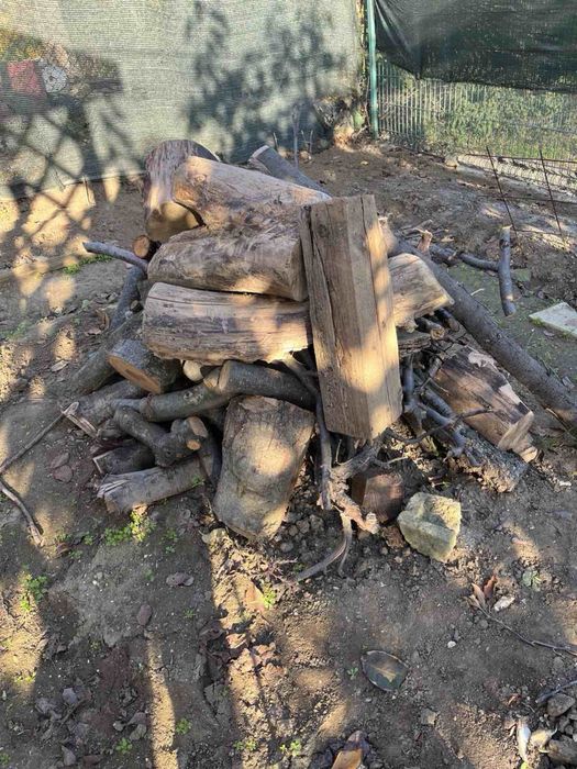 Дърва за огрев (различни)