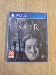 Maid of Sker PS4 PS5