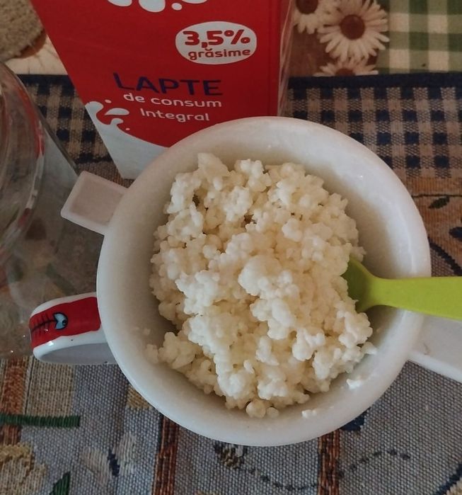 Ciupercă kefir din lapte