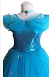 Costum Cenusareasa rochie Cenusareasa femei animatori halloween