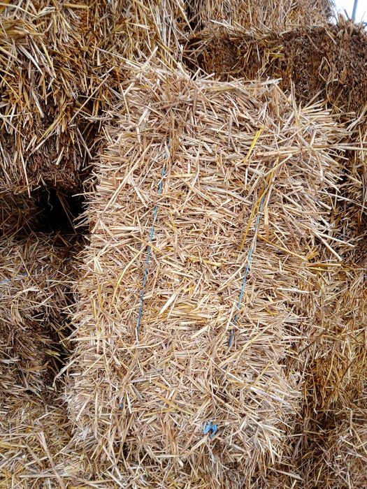 Baloti de paie dreptunghiulari