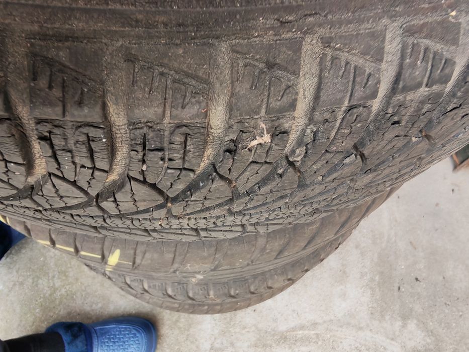 Jenti auto.sh echipate