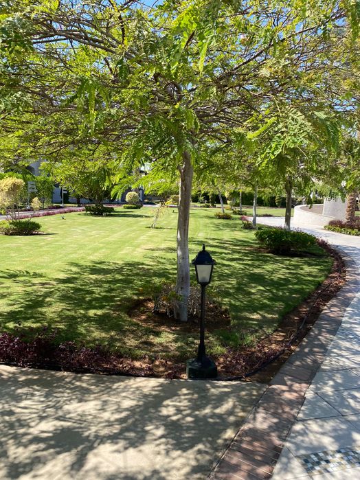 Градинарски услуги почистване на дворове