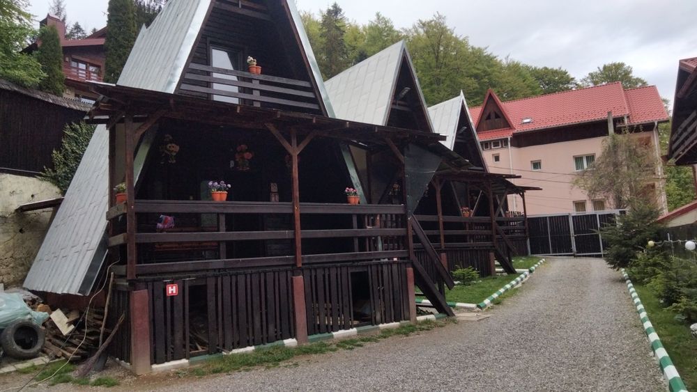 Cazare Sinaia Cabane A frame