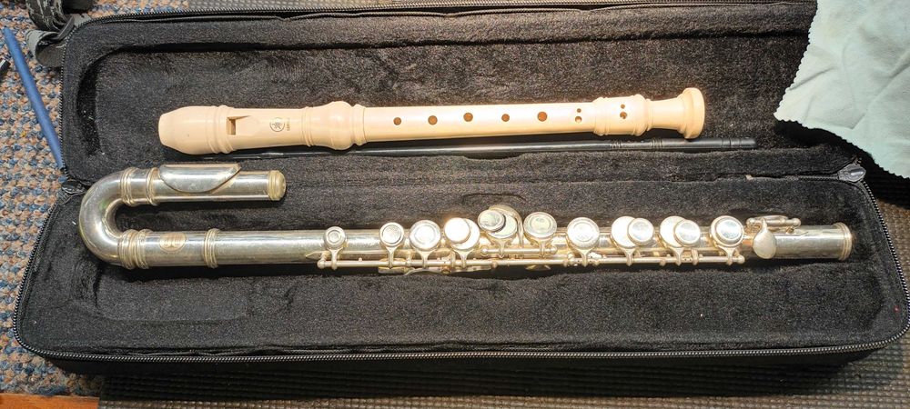 flaut  cititi descrierea