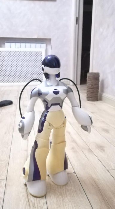 Робот-Девушка, обучаемый. Управление Пультом, руками и голосом. мечта