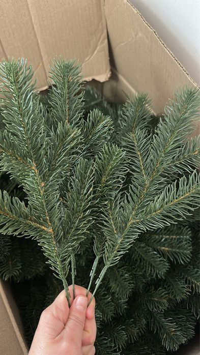 Crengute brad 40 buc