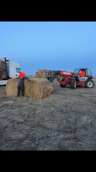 Vând baloți fan 650-850 kg