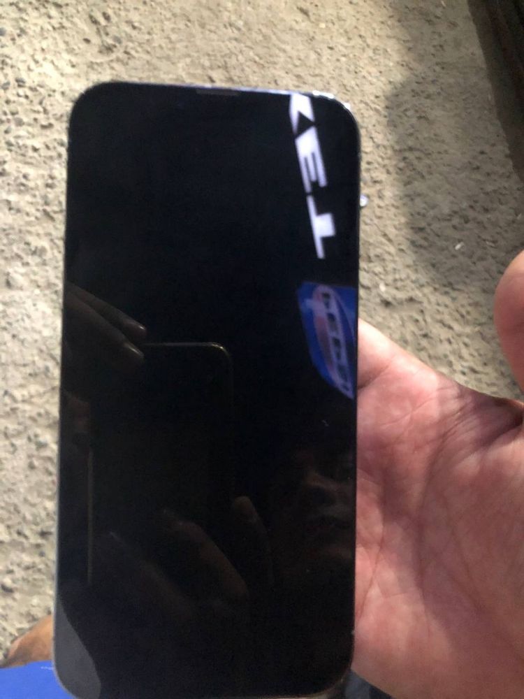 iPhone 13 pro max