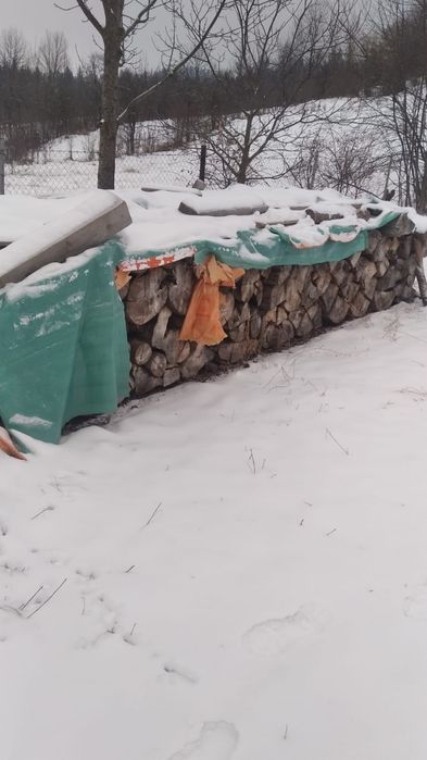 Lemn de foc fag uscat