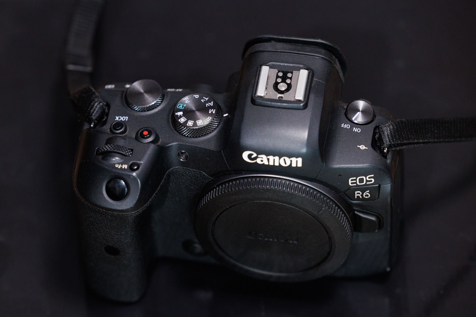 Canon EOS R6 Mirrorless Full-Frame