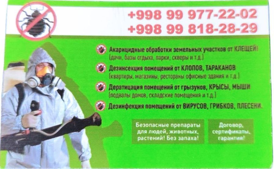 Дезинфекция качественно избавляем от всех вредителей летающих и  ползу