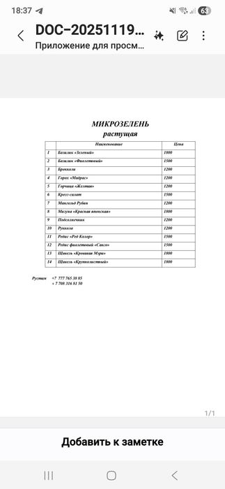 Растущая микрозелень