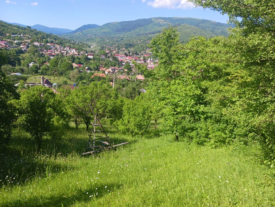 Teren de vânzare în Valea Doftanei