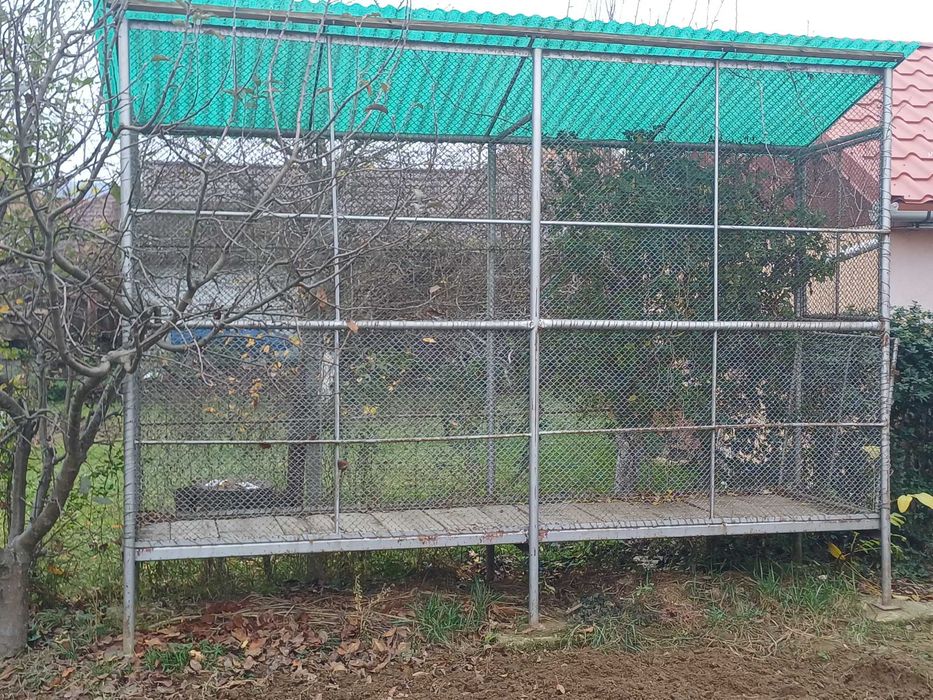 Vand Porumbar/ Sopron cereale/ Costei