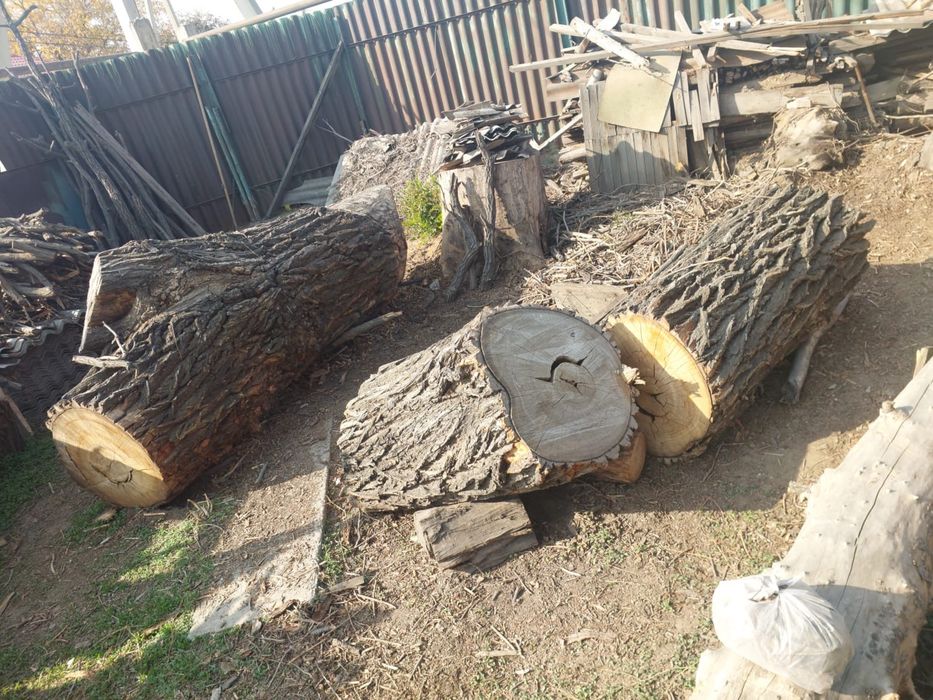 Продаю карагач на дрова