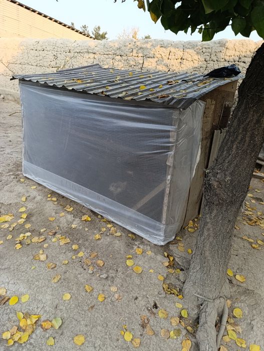 Кафас сотилади котта