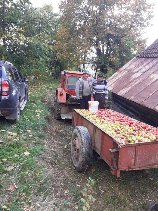 Vand Tractor 640DTC cu troliu si sapa si remorca monoaxa