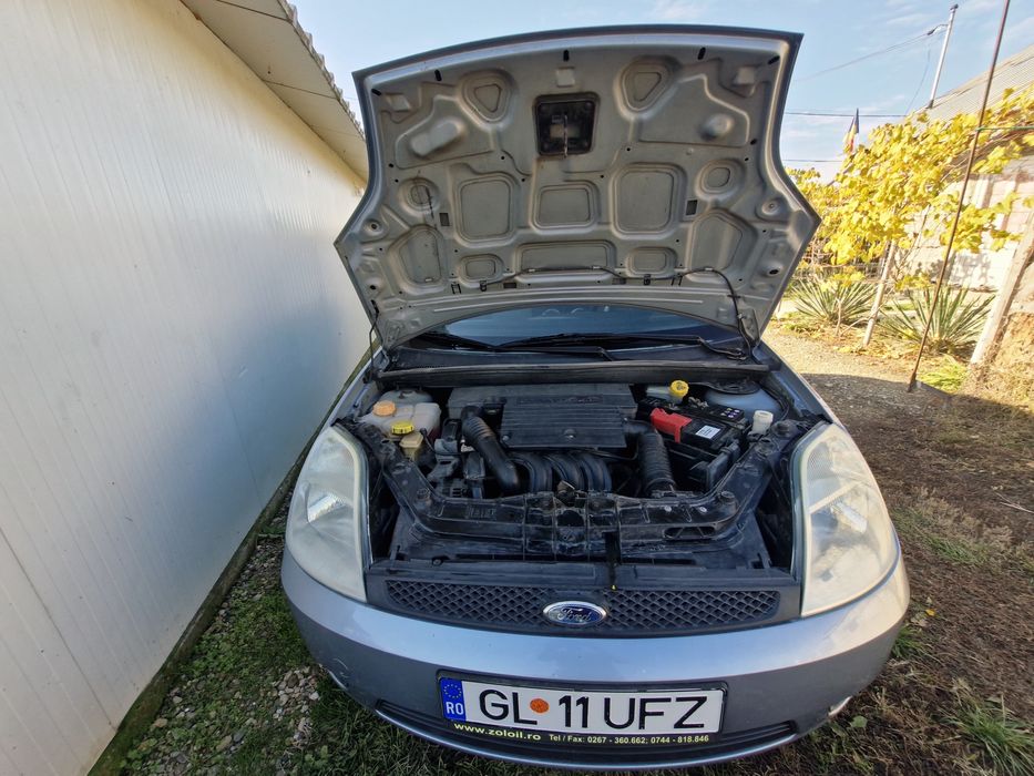 Vand Ford Fiesta