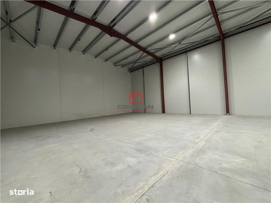 Inchiriere depozithalaspatiu industrial Theodor Pallady - Drumul Intre