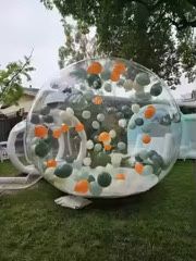 Bubble house, baloane, animator, cabina foto, tobogan gonflabil, caste
