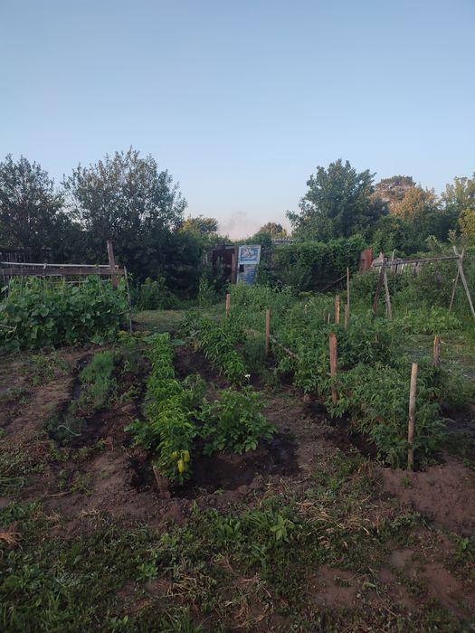 Продам дачу в идеальном состоянии