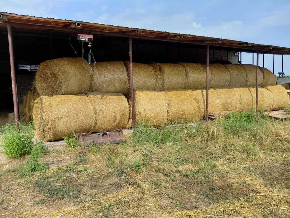 Baloți rotunzi și pătrați