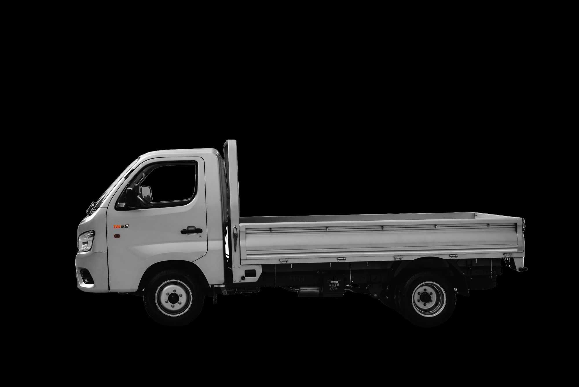 Foton Truck Mate 2 D1