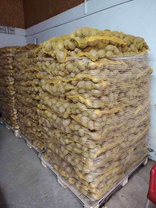 Cartofi +55 10kg Super calitate! Preturi negociabile