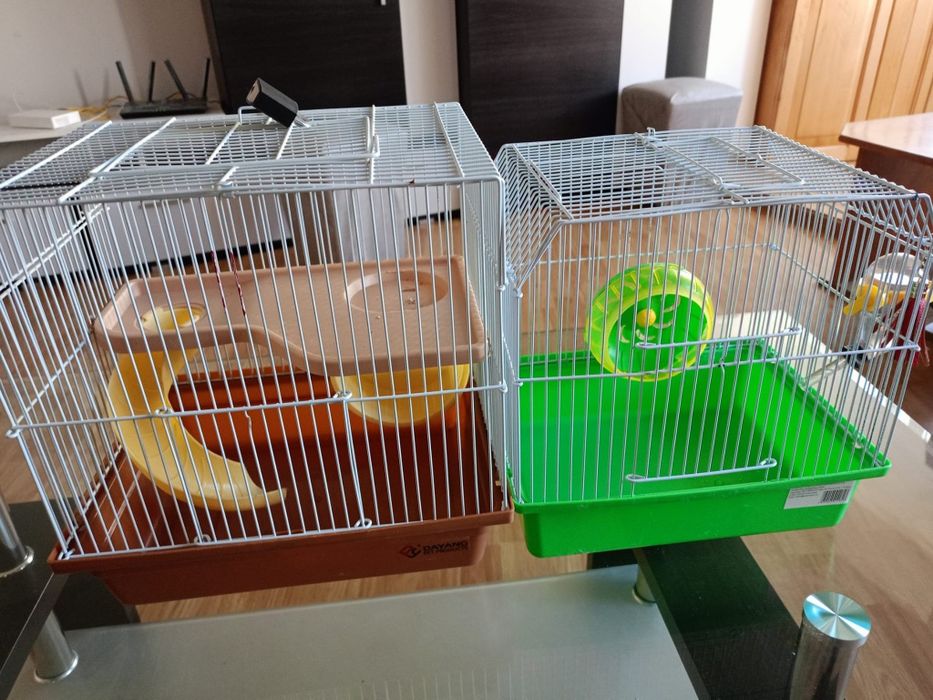 Căști pentru hamsterii